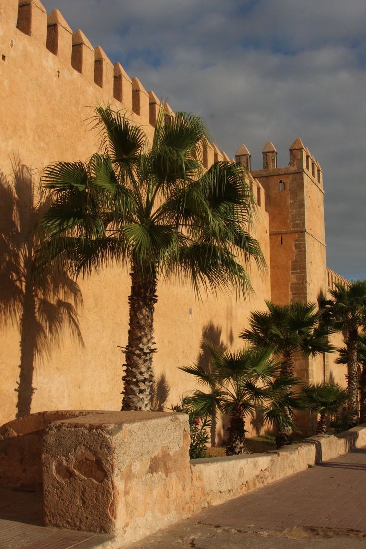 Taroudant Tiout